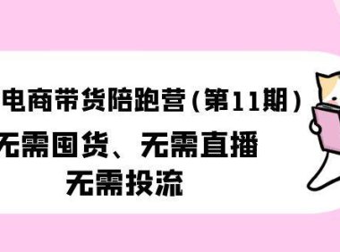 (6319)小红书电商带货陪跑营(第11期)无需囤货、无需直播、无需投流(送往期10套)