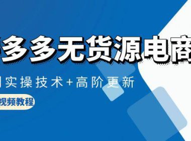 (6321)拼多多无货源电商,原创实操技术+高阶更新(16节视频教程)