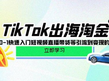 (6326)TikTok-出海淘金,新手0-1快速入门短视频直播带货等引流到变现的知识