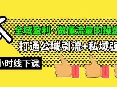 （6331）全域盈利·做懂流量的操盘手，打通公域引流+私域强变现，约9个小时线下课