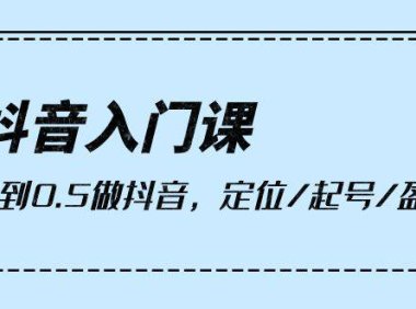 （6340）抖音入门课，从0到0.5做抖音，定位/起号/盈利（9节课）