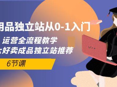 (6343)成人用品独立站从0-1入门,运营全流程教学,七大好卖成品独立站推荐-6节课
