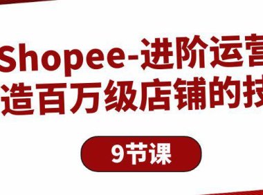 (6344)Shopee-进阶运营:打造百万级店铺的技巧(9节课)