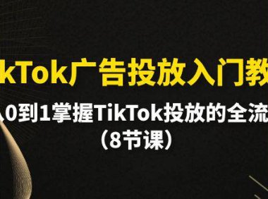 (6345)TikTok广告投放入门教程,从0到1掌握TikTok投放的全流程(8节课)
