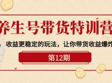 （6352）养生号带货特训营【12期】收益更稳定的玩法，让你带货收益爆炸-9节直播课