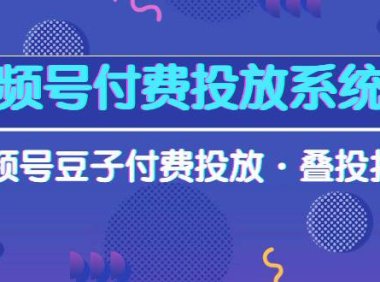 （6353）视频号付费投放系统课，视频号豆子付费投放·叠投打法（高清视频课）