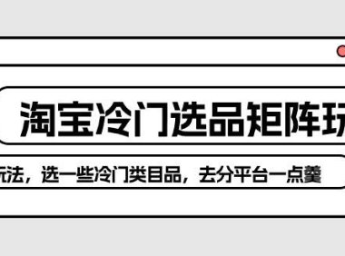 (6362)淘宝冷门选品矩阵玩法:换种玩法,选一些冷门类目品,去分平台一点羹