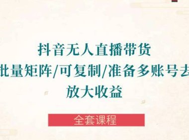 （6363）抖音·无人直播带货 可批量矩阵/可复制/准备多账号去播/放大收益-全套课程