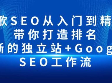（6365）谷歌SEO从入门到精通 带你打造排名 清晰的独立站+Google SEO工作流
