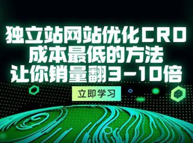 (6368)独立站网站优化CRO,成本最低的方法,让你销量翻3-10倍(5节课)