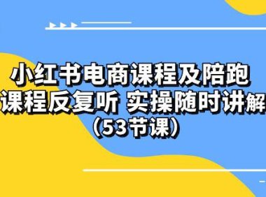 (6369)小红书电商课程陪跑课 课程反复听 实操随时讲解 (53节课)