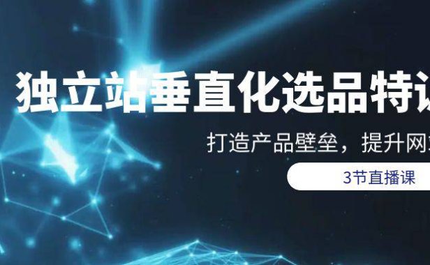 (6298)独立站-垂直化选品训练营,打造产品壁垒,提升网站利润(3节直播课)