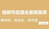（6378）视频号直播全案操盘课，赚利润，搞流量，提势能（16节课）