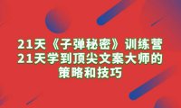 （6380）21天《子弹秘密》训练营，21天学到顶尖文案大师的策略和技巧