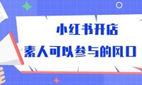 (6390)小红书开店,素人可以参与的风口