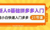 (6404)新人0基础拼多多入门,纯小白快速入门多多(21节课)