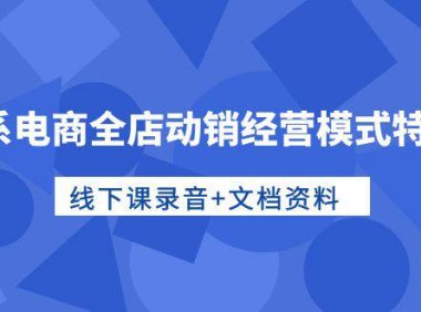 (6374)淘系电商全店动销经营模式特训营,线下课录音+文档资料