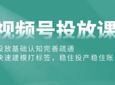 （6376）视频号投放课：投放基础认知完善疏通，快速建模打标签，稳住投产稳住账号