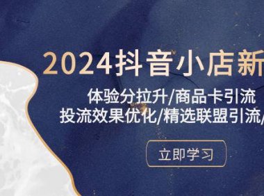 (6377)2024抖音小店新课,体验分拉升/商品卡引流/投流效果优化/精选联盟引流/等