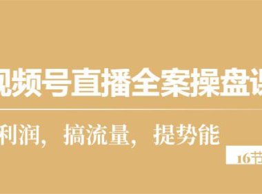 （6378）视频号直播全案操盘课，赚利润，搞流量，提势能（16节课）