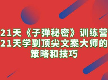 （6380）21天《子弹秘密》训练营，21天学到顶尖文案大师的策略和技巧