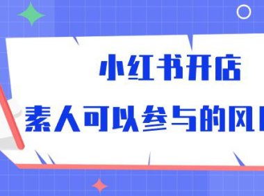 (6390)小红书开店,素人可以参与的风口