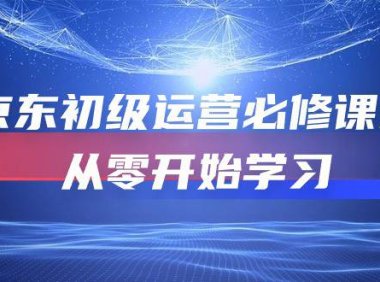 (6391)京东初级运营必修课程,从零开始学习(49节课)