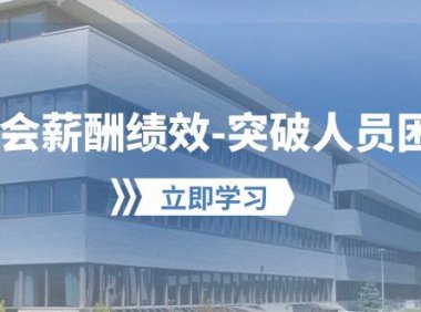（6397）学会薪酬绩效-突破人员困境：建立自己的【薪酬+绩效】体系，企业与员工双赢选泽