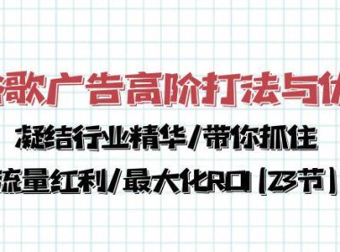 （6401）谷歌广告高阶打法与优化，凝结行业精华/带你抓住流量红利/最大化ROI(23节)