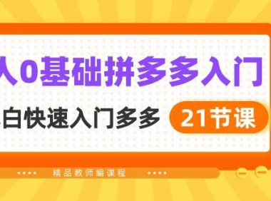 (6404)新人0基础拼多多入门,纯小白快速入门多多(21节课)