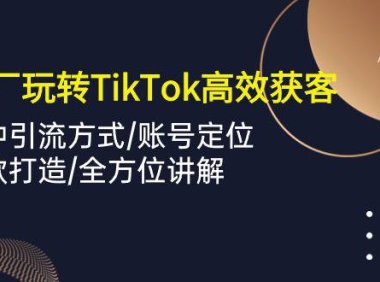 （6407）外贸工厂玩转TikTok高效获客，多种引流方式/账号定位/爆款打造/全方位讲解