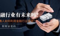 （6413）某付费文章：金融行业有未来吗？普通人如何利用金融行业发财?(附财富密码)