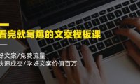 （6431）看完就 写爆的文案模板课，好文案/免费流量/快速成交/学好文案价值百万