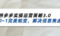 (6447)2024_2025拼多多实操运营策略3.0,0~1完美蜕变,解决信息焦虑(38节)