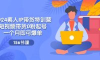 （6449）2024素人IP带货特训营，短视频带货0粉起号，一个月即可爆单（156节）