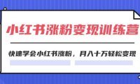 （6463）2024小红书涨粉变现训练营，快速学会小红书涨粉，月入十万轻松变现(40节)