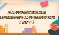 (6479)小红书电商实战速成课,让你快速掌握小红书电商核心技能(28节)
