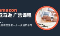 （6485）amazon亚马逊 广告课程：从青铜至王者一步一步进阶学习（16节）