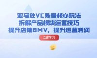 （6489）亚马逊VC账号核心玩法，拆解产品模块运营技巧，提升店铺GMV，提升运营利润