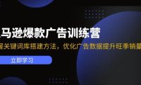 （6493）亚马逊爆款广告训练营：掌握关键词库搭建方法，优化广告数据提升旺季销量