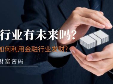 （6413）某付费文章：金融行业有未来吗？普通人如何利用金融行业发财?(附财富密码)