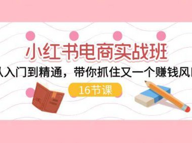 (6422)小红书电商实战班,从入门到精通,带你抓住又一个赚钱风口(16节)
