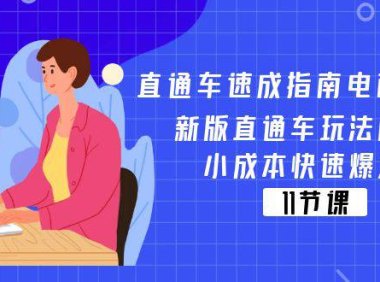 (6424)直通车 速成指南电商教程:新版直通车玩法解密,小成本快速爆发(11节)