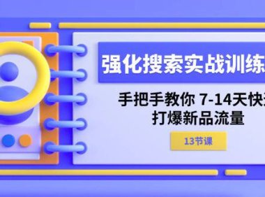 (6427)强化 搜索实战训练营,手把手教你 7-14天快速-打爆新品流量(13节课)