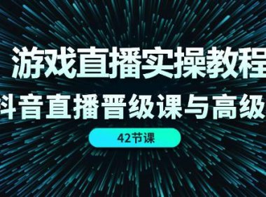 （6429）游戏直播实操教程，抖音直播晋级课与高级课（42节）