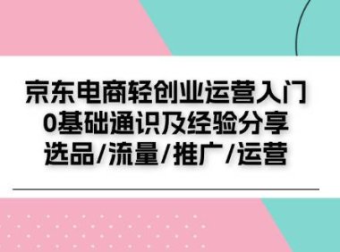 (6430)京东电商-轻创业运营入门0基础通识及经验分享:选品/流量/推广/运营