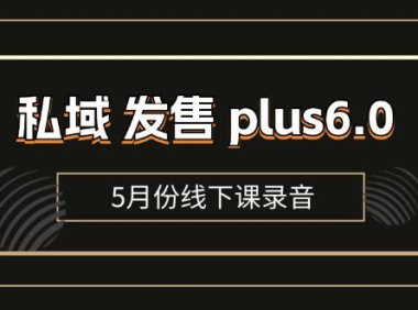 （6436）私域 发售 plus6.0【5月份线下课录音】/全域套装 sop流程包，社群发售…