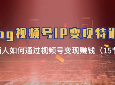 （6445）Vlog 视频号IP变现特训营，普通人如何通过视频号变现赚钱（15节）
