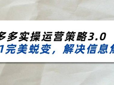 (6447)2024_2025拼多多实操运营策略3.0,0~1完美蜕变,解决信息焦虑(38节)