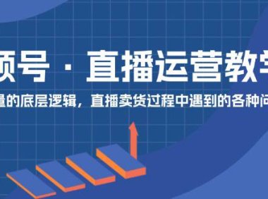 （6451）视频号 直播运营教学：直播流量的底层逻辑，直播卖货过程中遇到的各种问题
